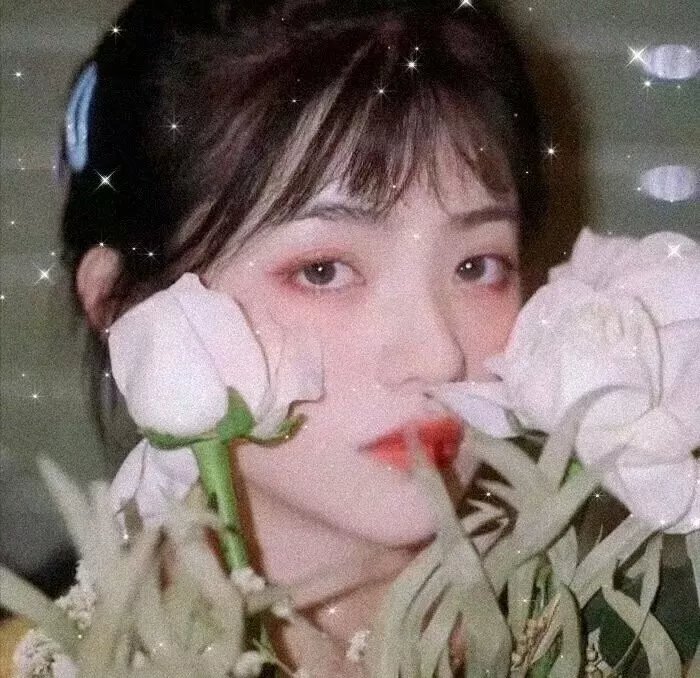 乌衣夜行